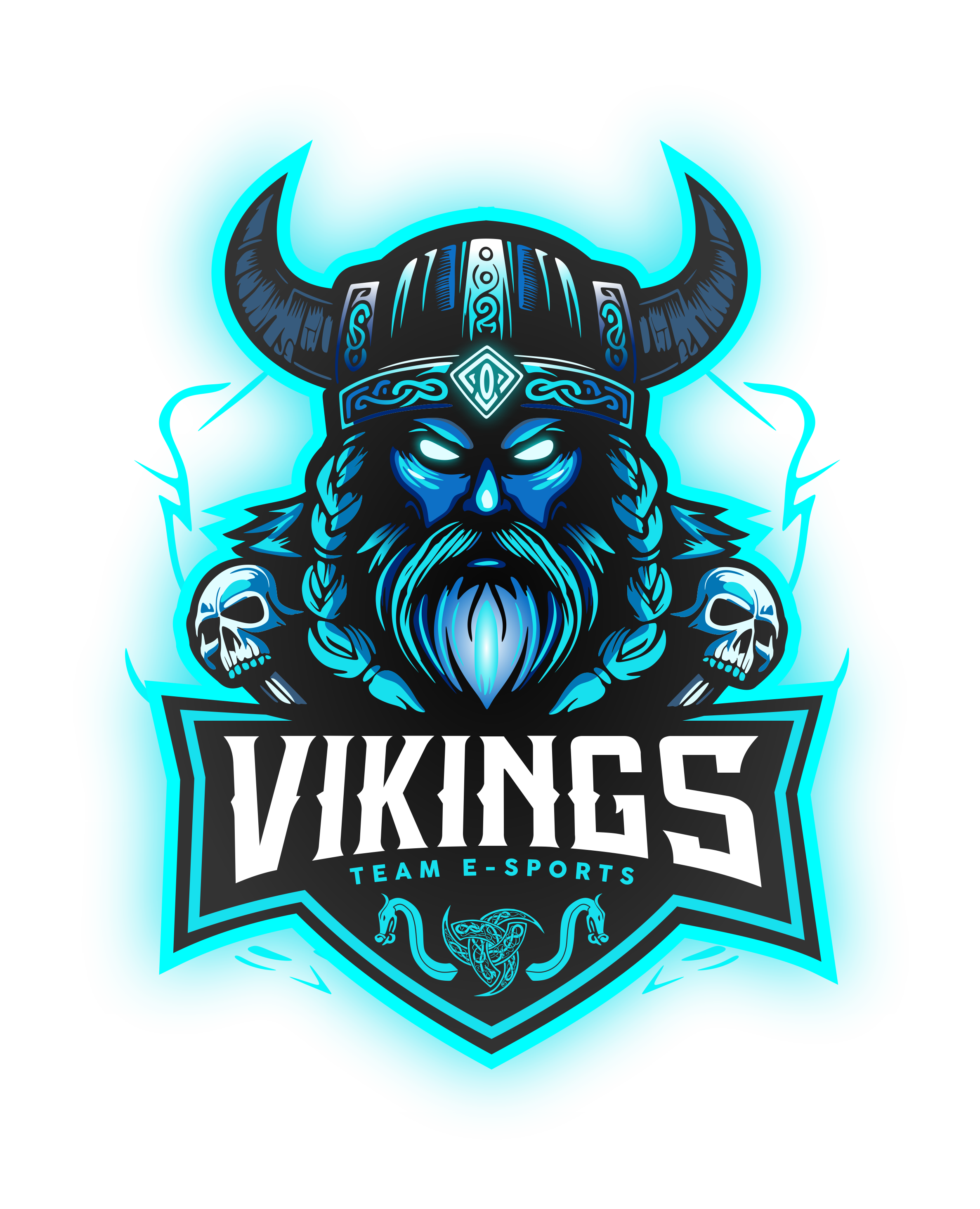 Vikings Team E-sports